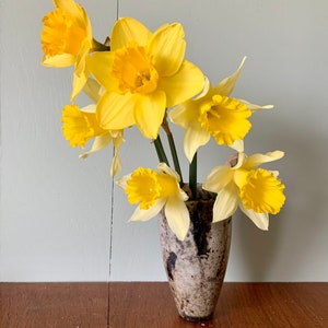 Puede incluir: Un ramo de narcisos amarillos en un jarrón de cerámica marrón moteado. El jarrón está sobre una superficie de madera.