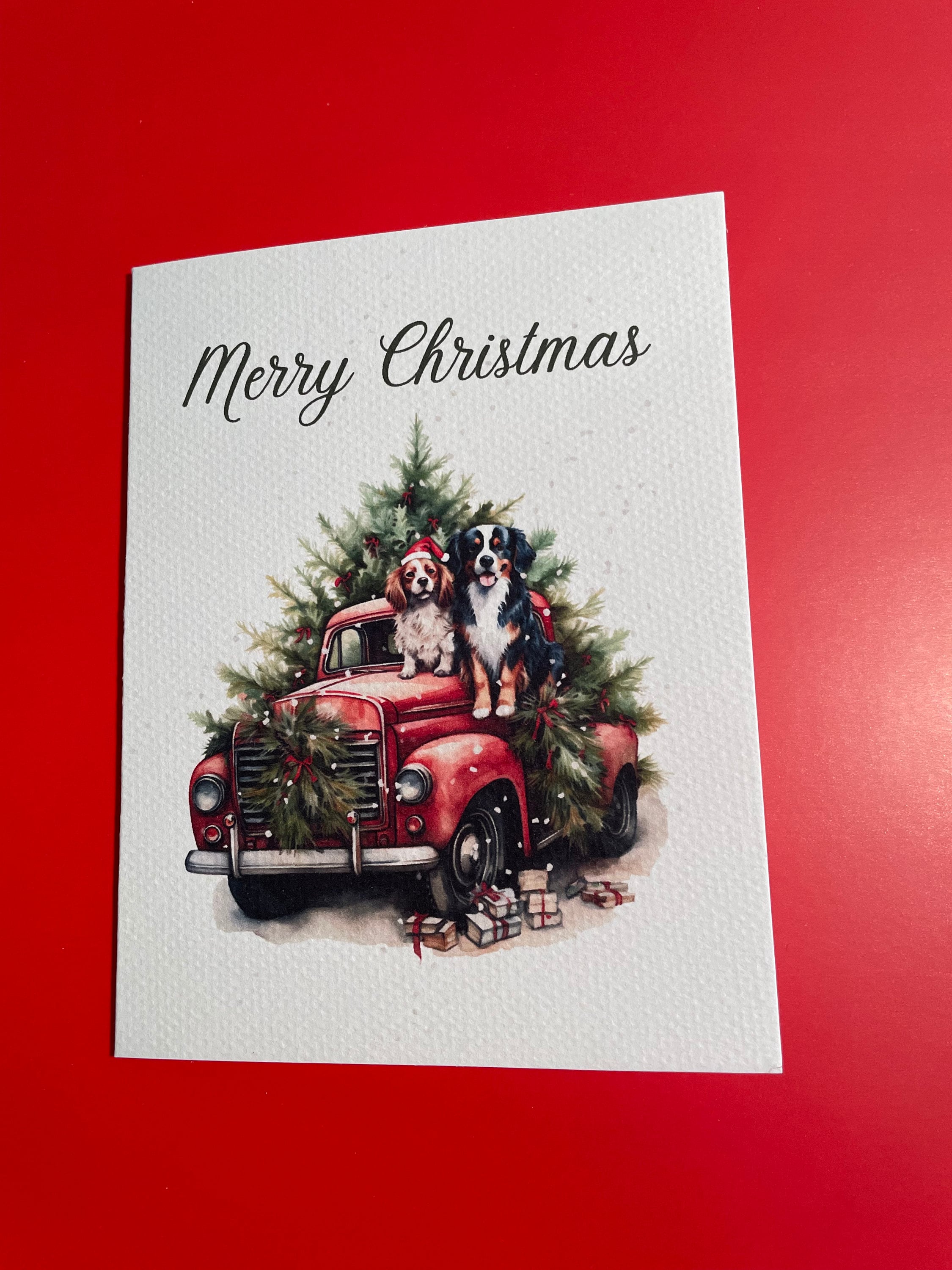 Box Set of Christmas Cards Christmas Cards Christmas Cards Blank Inside