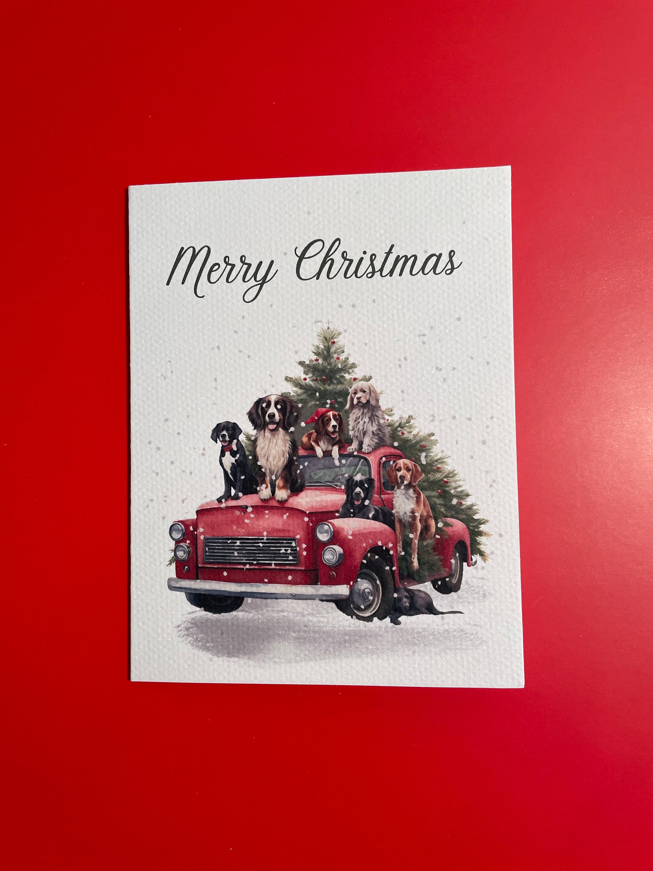 Box Set of Christmas Cards Christmas Cards Christmas Cards Blank Inside