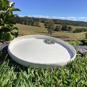 Paddock Pottery Handmade Serving Tray Platter with Succulent Design