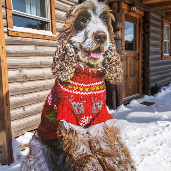 boden dog sweater Fair Isle Family Matching Dog Sweater For Winter Fun