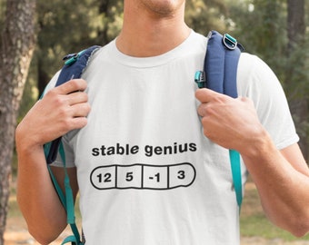 Disc Golf Stable Shirt, Disc Golf Dad, Disc Golf Gifts, Disc Golf Dad Tee, Disc Golf Tee, Unisex T-Shirt, Gift for Him, Disc Golf Tshirt