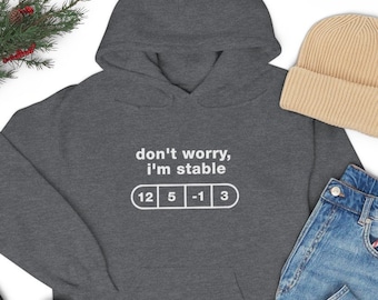 Disc Golf Hoodie I'm Stable, Disc Golf Hoodie, Disc Golf Dad, Disc Golf Gifts, Disc Golf Dad Tee, Disc Golf Tee, Unisex T-Shirt