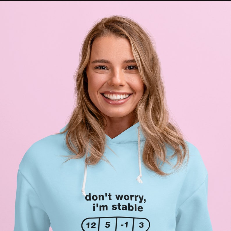 Disc Golf Hoodie I'm Stable, Disc Golf Hoodie, Disc Golf Dad, Disc Golf Gifts, Disc Golf Dad Tee, Disc Golf Tee, Unisex T-Shirt image 4