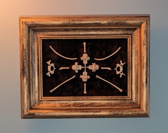 Bone Art Picture: Witchy Decor, Refurbished Frame