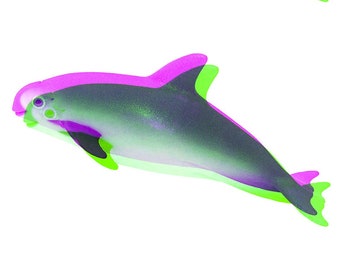 VAQUITA RESILIENCE print