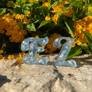 Initial &quot;E&quot; or &quot;Z&quot; Resin Keychain with Silver Flakes