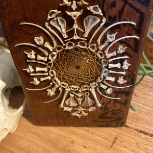 May include: A wooden box with a decorative design made of small bones and a gold geometric pattern. The box is brown with black markings on the side. The bone design is centered on the front of the box.