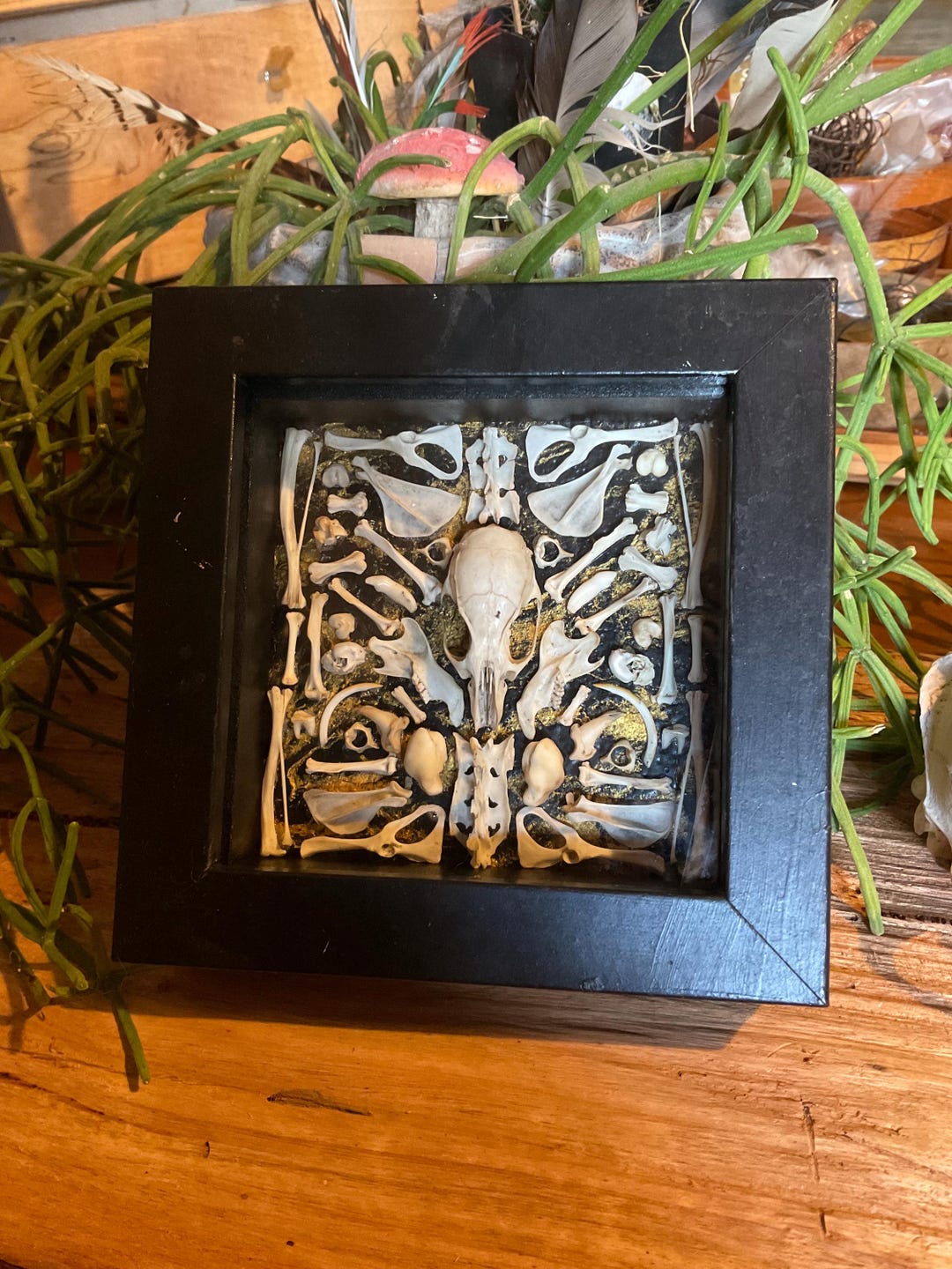Shadow Box, Black Frame With Glass Panel, Real Bones, Bone Mandala ...