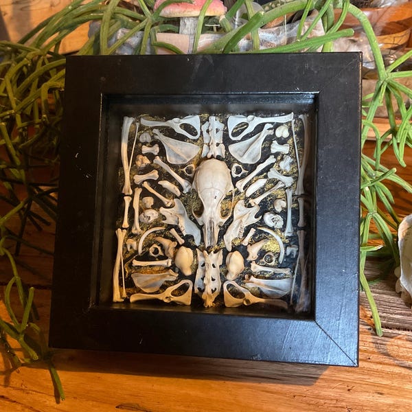 Shadow box, black frame with glass panel, real bones, bone mandala, black and gold acrylic paint pour background.