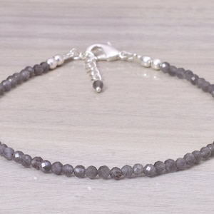 Puede incluir: Un delicado tobillo de plata con un cierre de plata y cuentas de piedras preciosas grises.
