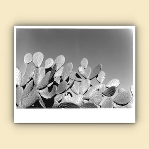 Gelatin silver print - Etsy 日本