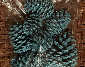 Hand-Painted Glitter Pine Cones-decorations, bowl filler, Christmas decorations, turquoise pine cones