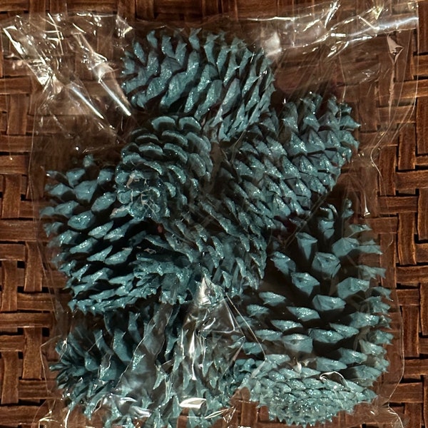 Glitter Pine Cones - Etsy
