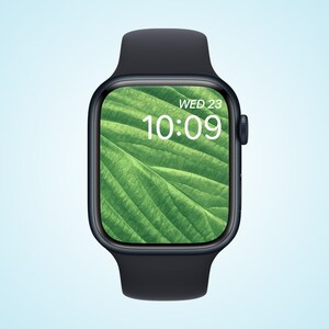 rayo verde apple watch pantalla verde