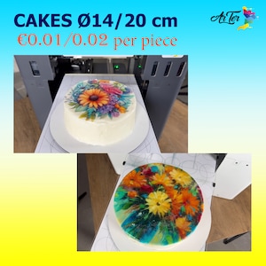 May include: Two round cakes with floral designs. The cakes are 14 or 20 cm in diameter and cost $0.01 or $0.02 per piece. The text "CAKES &Oslash;14/20 cm &euro;0.01/0.02 per piece" is visible in the image.