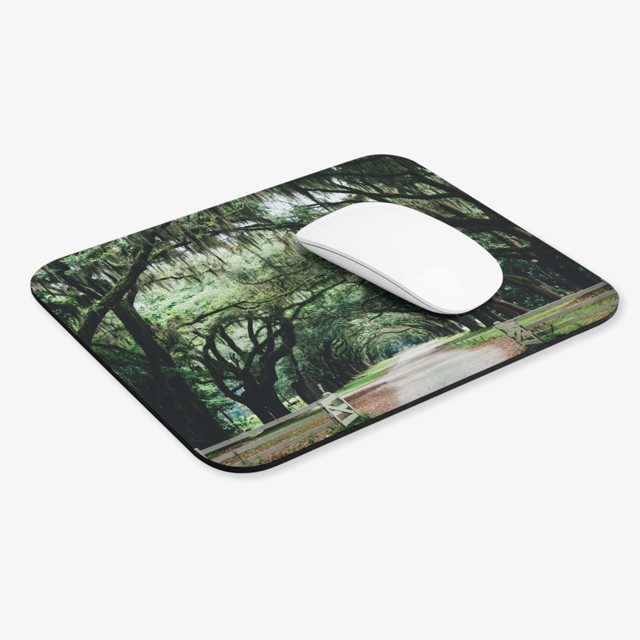 Savannah Live Oak Alley, Savannah, Live Oak Tree, Oak Tree, Mouse Pad Art, Art