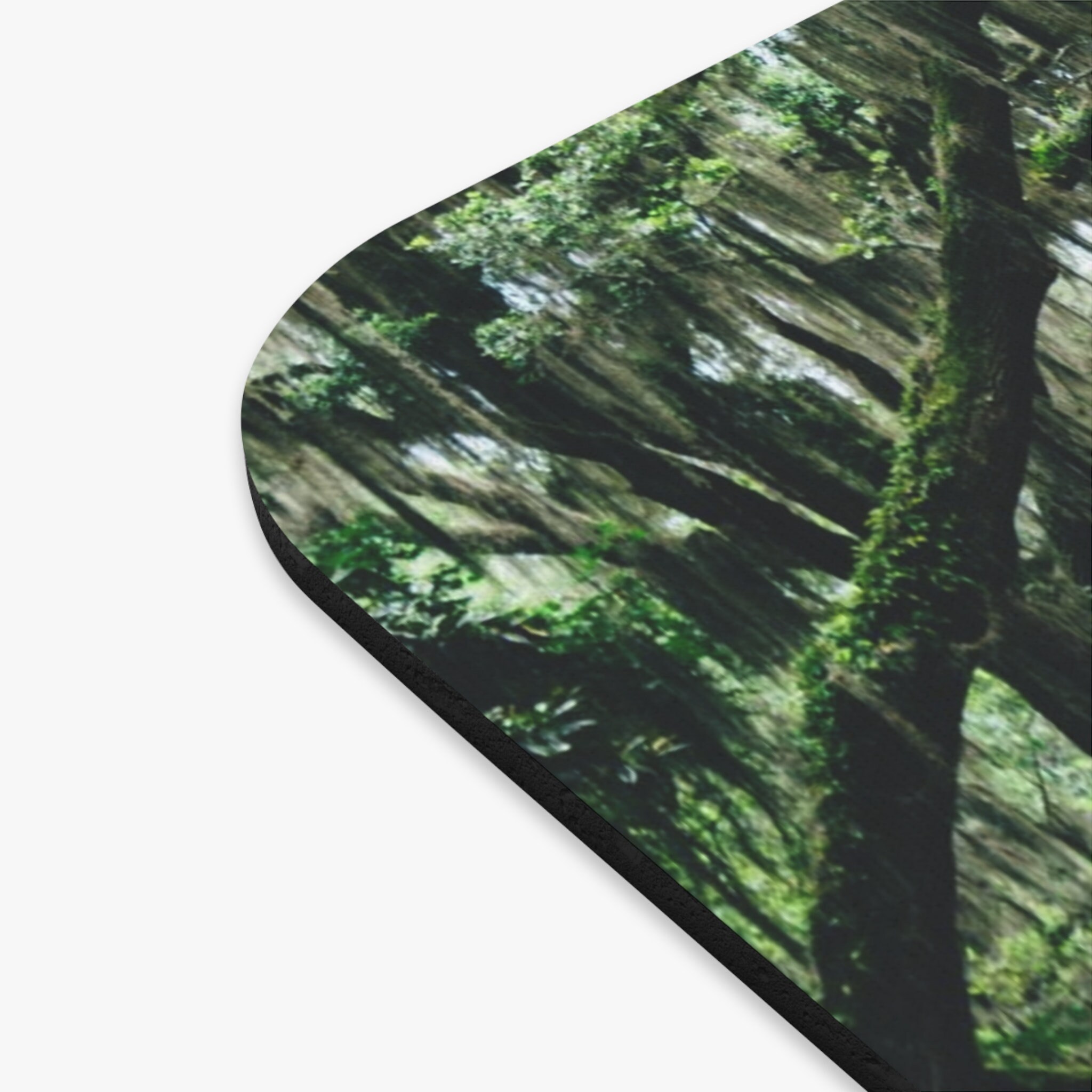 Savannah Live Oak Alley, Savannah, Live Oak Tree, Oak Tree, Mouse Pad Art, Art