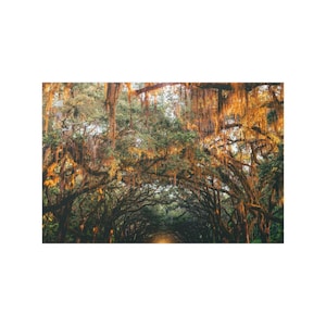 Savannah Alley of Oaks Satin Poster: Spanish Moss Tree Art