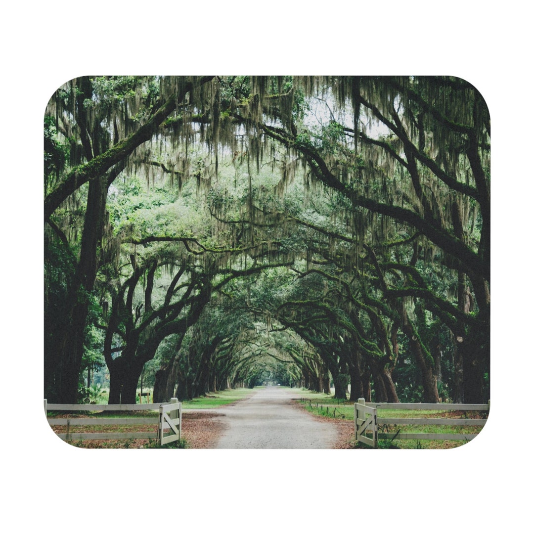 Savannah Live Oak Alley, Savannah, Live Oak Tree, Oak Tree, Mouse Pad Art, Art