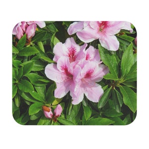 Pink Azalea, Flowers, Flower, Pink, Southern, South, Garden, Mouse Pad (Rectangle)