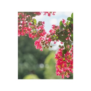 Pink Crape Myrtle Flower Art Print: Botanical Satin Poster