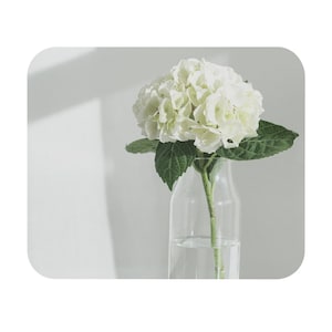 May include: A white hydrangea flower in a clear glass vase with green leaves. The vase is sitting on a white surface.