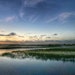 Marsh Supply