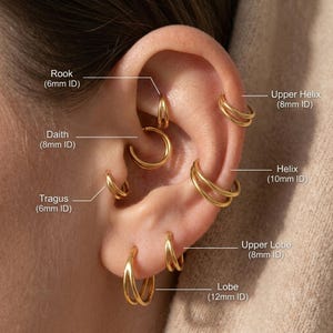 Peut inclure: Une collection de créoles dorées portées sur différents piercings d'oreille, étiquetées avec leurs emplacements et tailles : Rook (6mm ID), Daith (8mm ID), Tragus (6mm ID), Upper Helix (8mm ID), Helix (10mm ID), Upper Lobe (8mm ID) et Lobe (12mm ID).