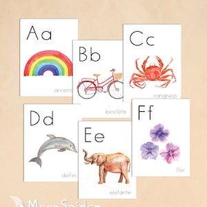 SPANISH Alphabet individual downloadable posters, for classroom use