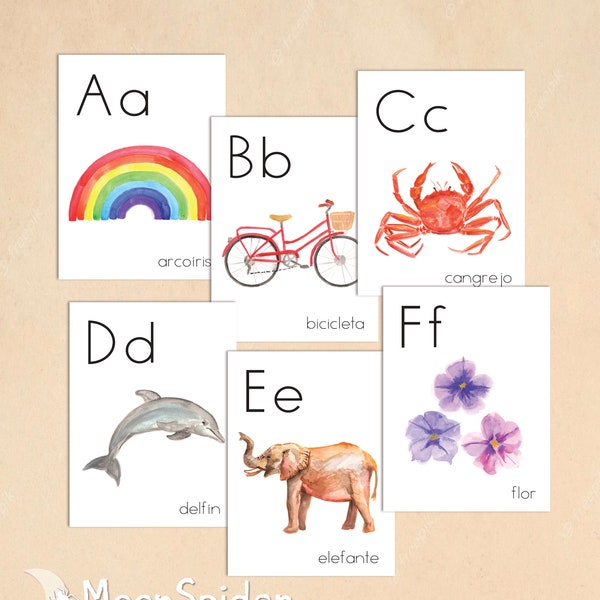 Affiches individuelles téléchargeables de l'Alphabet ESPAGNOL, pour une utilisation en classe