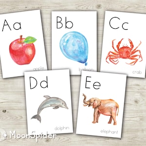 Carteles PDF descargables individuales del alfabeto, ilustraciones en acuarela, para Montessori, uso en el aula y en el hogar, decoración educativa