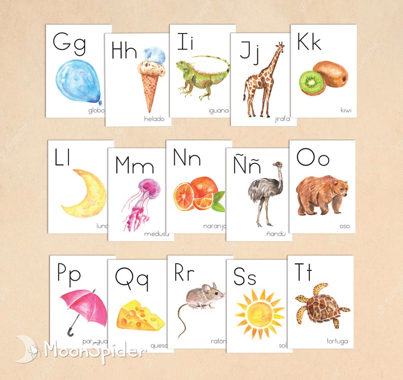 K&ouml;nnte beinhalten: Ein Satz von 15 Lernkarten mit dem spanischen Alphabet und Illustrationen verschiedener Gegenst&auml;nde und Tiere. Jede Karte zeigt einen Buchstaben, ein Bild und das spanische Wort f&uuml;r das Bild. Die Buchstaben sind Gg, Hh, Ii, Jj, Kk, Ll, Mm, Nn, &Ntilde;&ntilde;, Oo, Pp, Qq, Rr, Ss und Tt.
