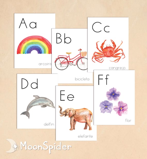 SPANISH Alphabet individual downloadable posters, for classroom use