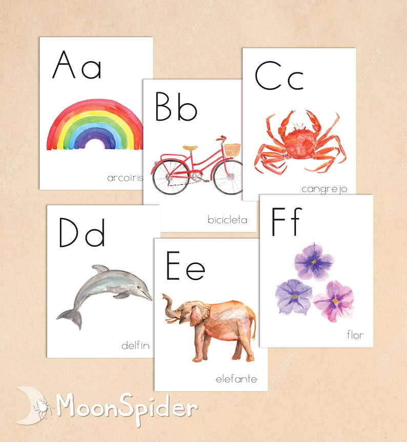 K&ouml;nnte beinhalten: Flashcards mit den Buchstaben A bis F in Gro&szlig;- und Kleinschreibung, jeweils mit einem Bild und einem spanischen Wort. Die Buchstaben stehen f&uuml;r A f&uuml;r arco&iacute;ris (Regenbogen), B f&uuml;r bicicleta (Fahrrad), C f&uuml;r cangrejo (Krabbe), D f&uuml;r delf&iacute;n (Delfin), E f&uuml;r elefante (Elefant) und F f&uuml;r flor (Blume).
