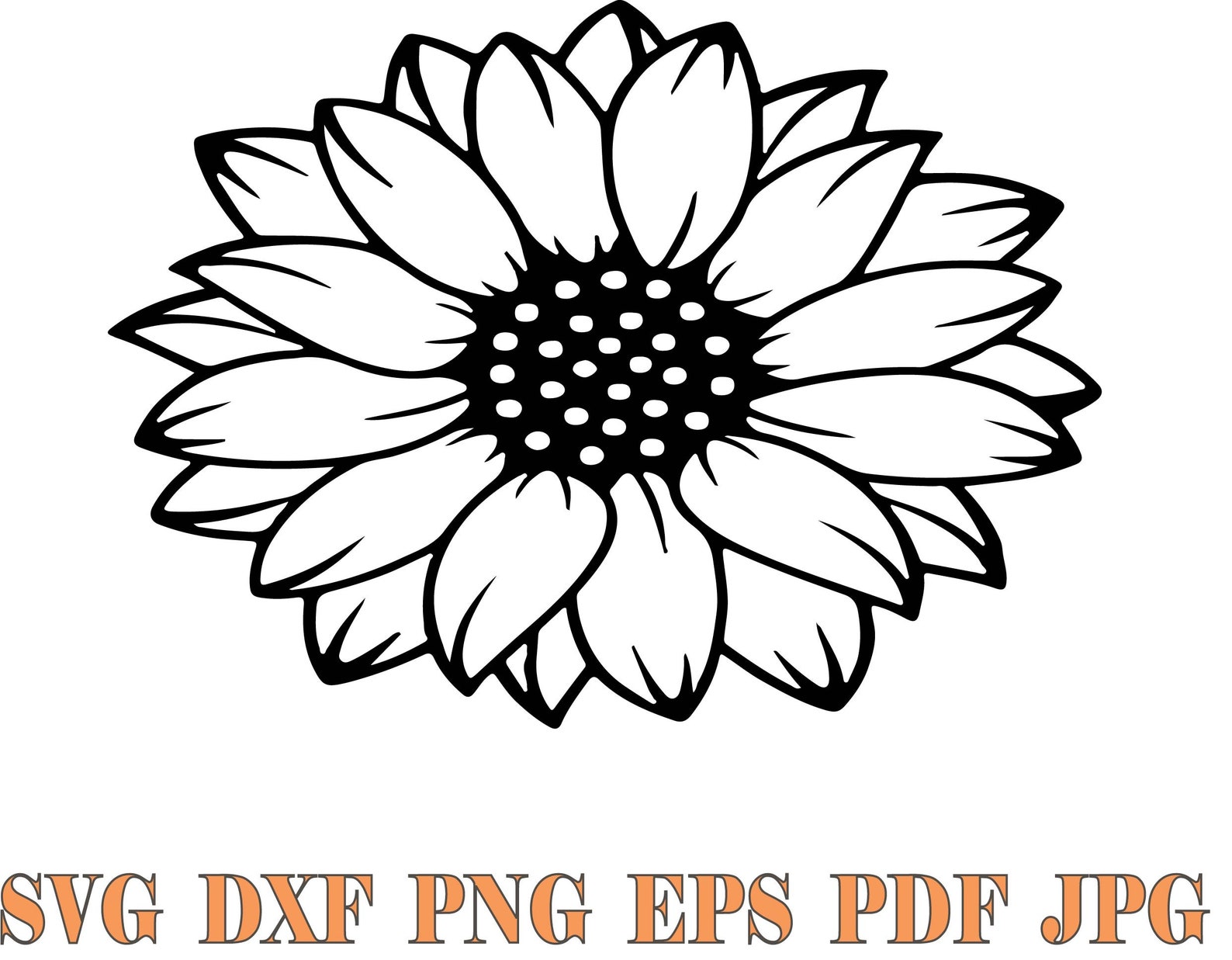 Daisy Svg, Flower Svg, Spring Flower, Floral Svg, Daisy Dxf, Png