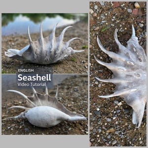 Könnte beinhalten: Eine große, strukturierte Muschel mit mehreren stacheligen Vorsprüngen. Die Schale ist hellgrau und liegt auf einem Bett aus Erde und kleinen Steinen. Das Bild enthält den Text "Seashell Video Tutorial".