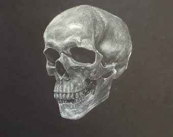 The skull, original pastel drawing