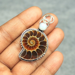 Ammonite Fossil Shell Pendant: Moonstone, Sterling Silver Jewelry