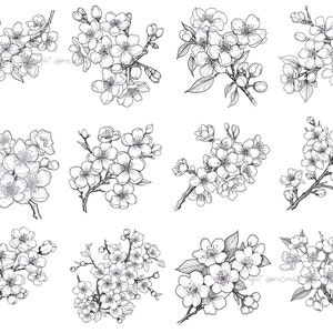 100+ Procreate Cherry Blossom Stamps, Cherry Blossom Brushes for ...