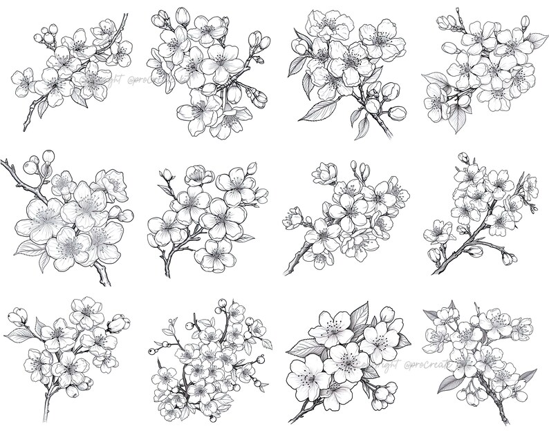 100+ Procreate Cherry Blossom Stamps, Cherry Blossom Brushes for ...