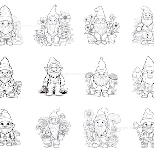 100+ Procreate Garden Gnome Stamps, Unique Realistic Garden Gnome ...