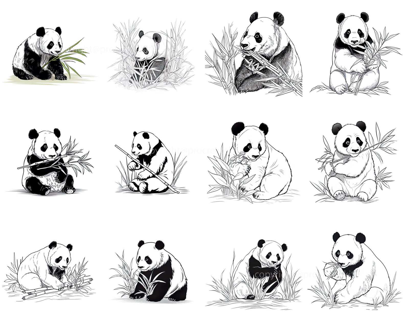 100+ Procreate Panda Stamps, Panda With Bamboo and Foresst Brushes for ...
