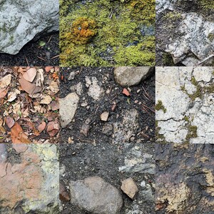 100+ Procreate Rainforest Ground Brushes, Realistic Texture Brushes for ...