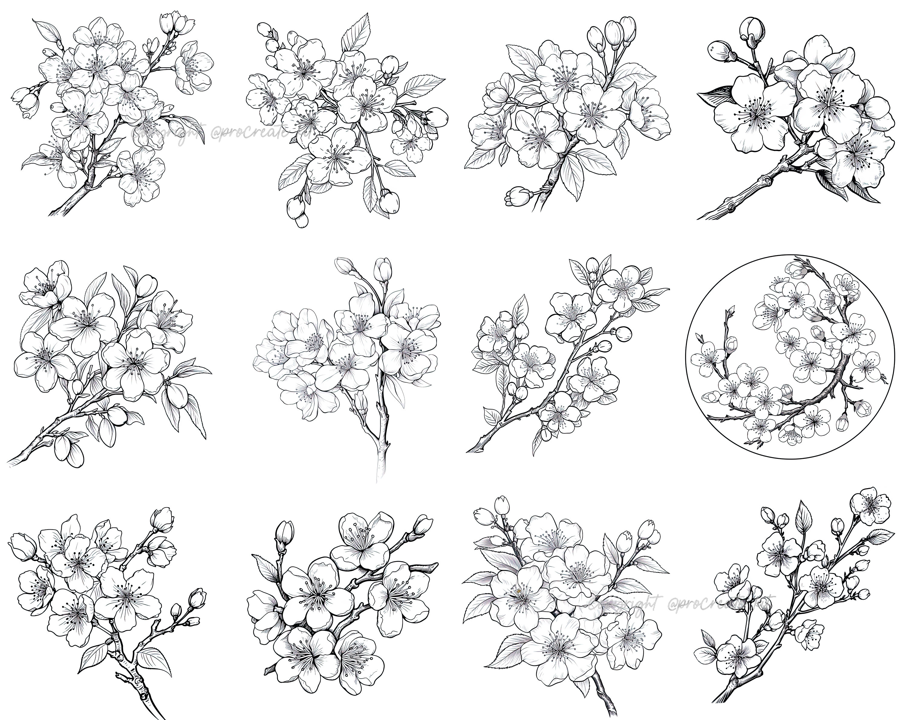 100+ Procreate Cherry Blossom Stamps, Cherry Blossom Brushes for ...