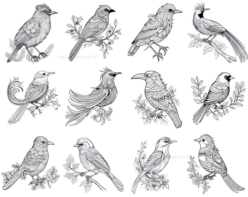 100+ Procreate Bird Stamps, Realistic Bird Brushes for Procreate ...