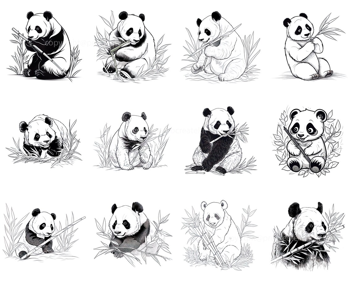 100+ Procreate Panda Stamps, Panda With Bamboo and Foresst Brushes for ...