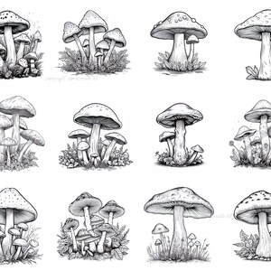 100+ Procreate Realistic Mushroom Stamps, Mushroom Brushes for ...
