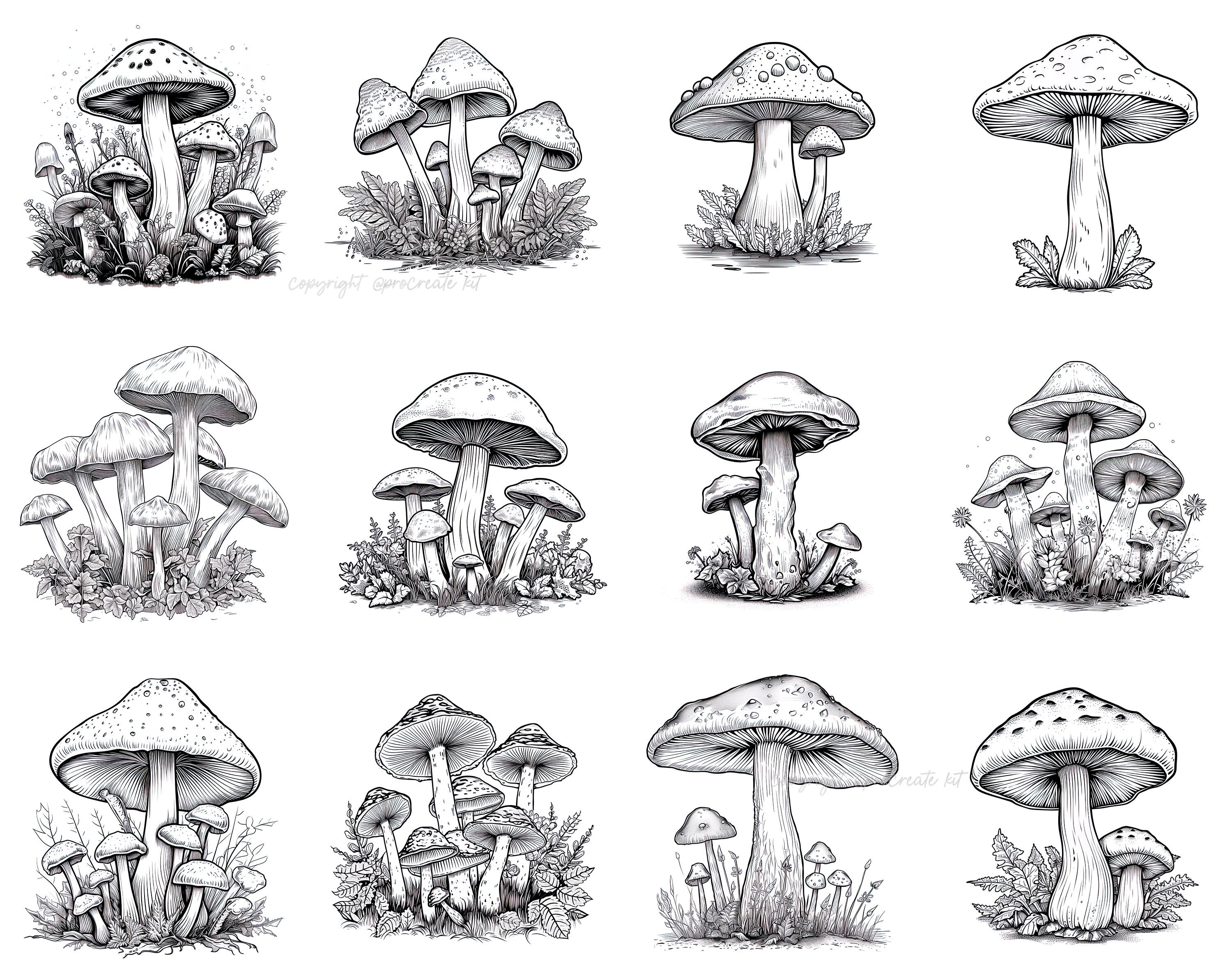100+ Procreate Realistic Mushroom Stamps, Mushroom Brushes for ...