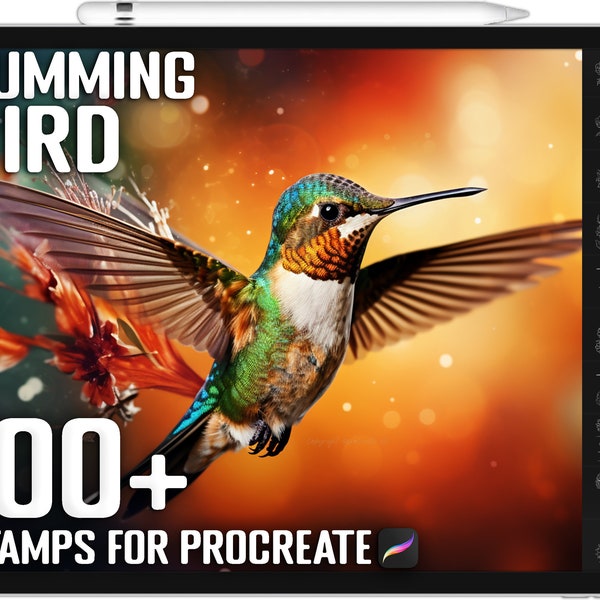 100+ Procreate Humming Bird Stamps, Humming Bird Brushes for Procreate, Instant Digital Download